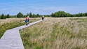 KNNV excursie Haaksbergerveen [01051] 24-jul-2022 (Haaksbergerveen, Haaksbergen)